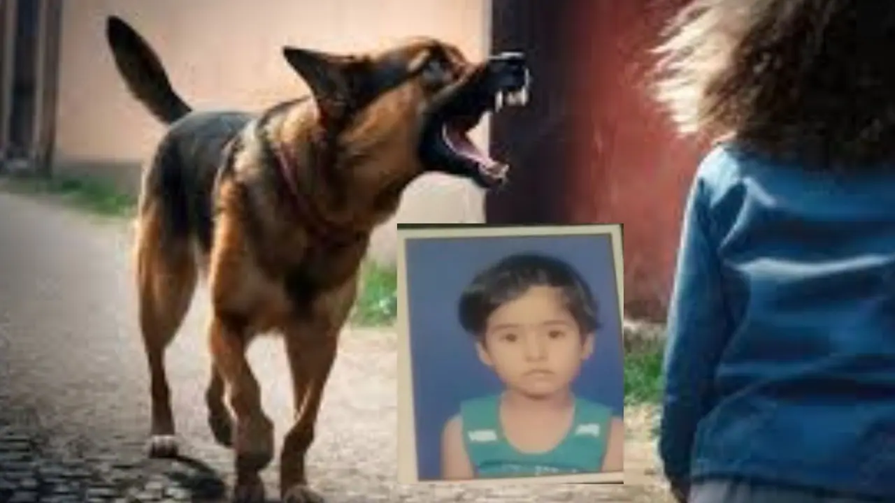 Tumakuru dog attack