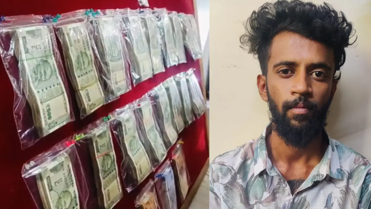 Bengaluru Grandmother robbery Bengaluru Grandmother robbery