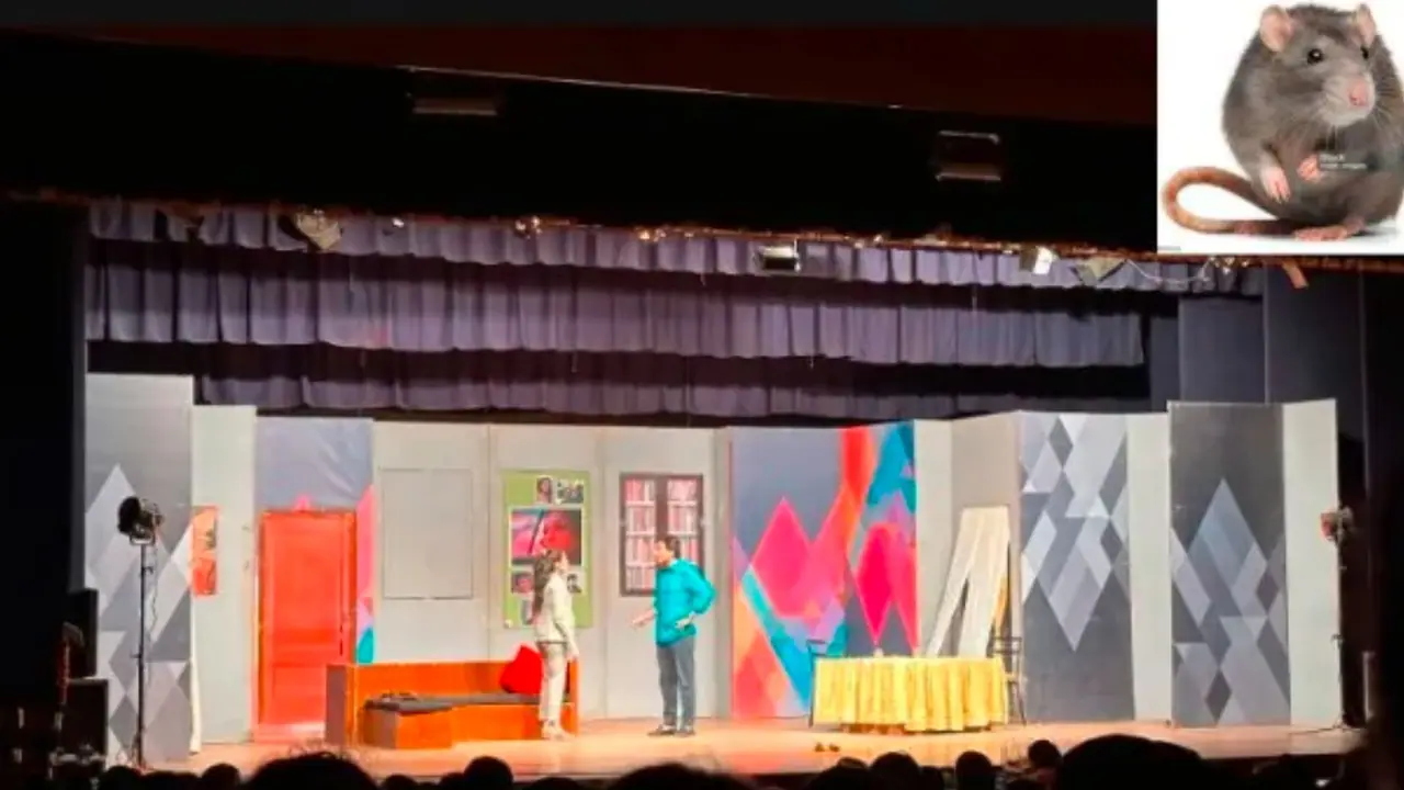 ನಾಟಕ ಪ್ರದರ್ಶನದ ದೃಶ್ಯ