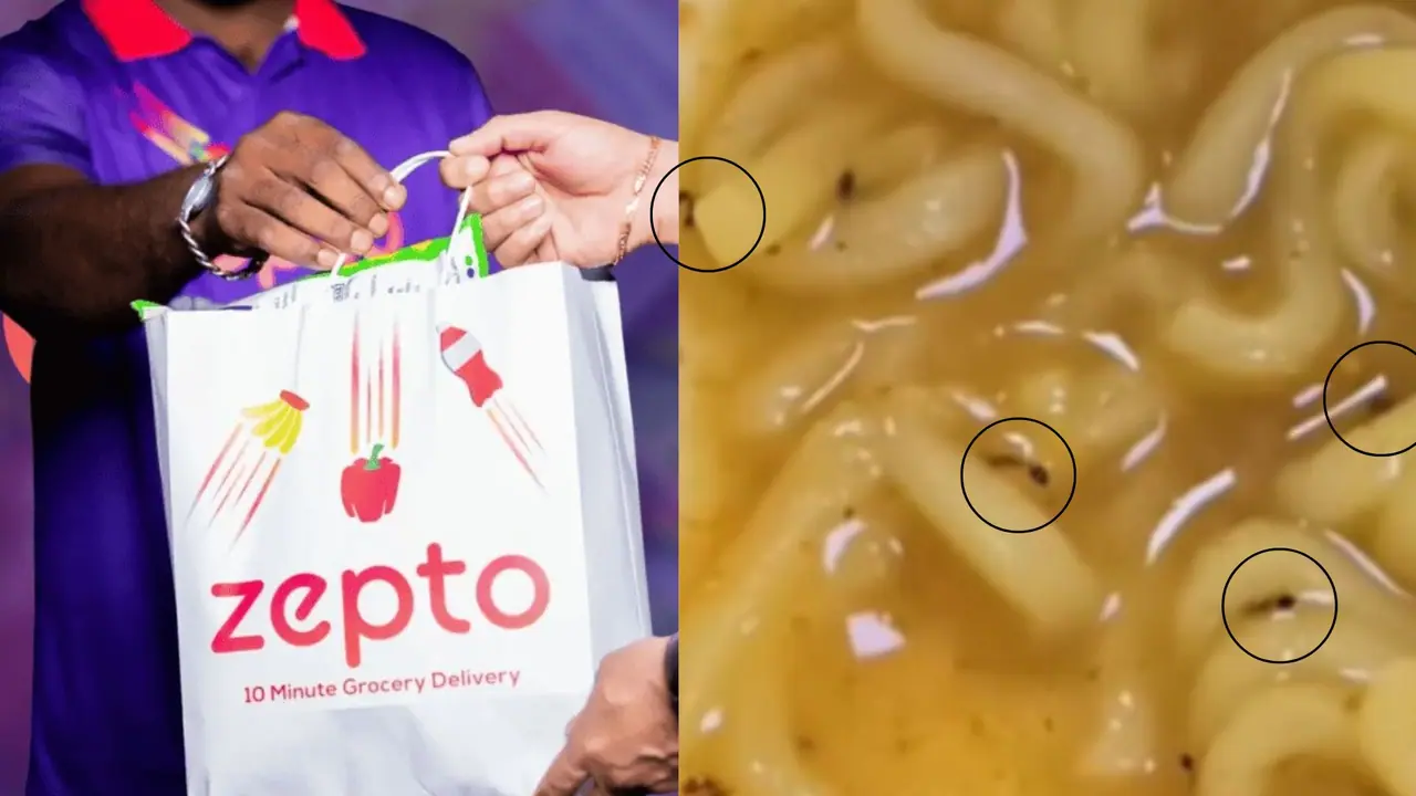 Zepto Dead Ant Delivery