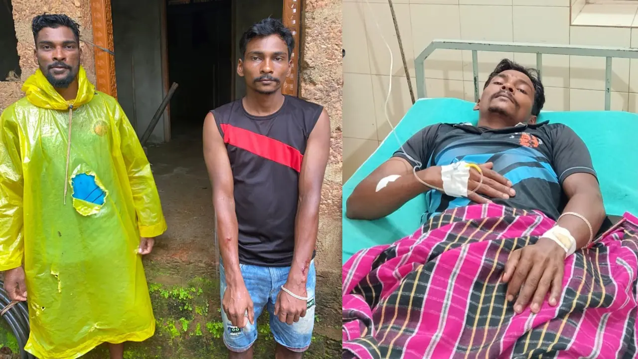 Uttara Kannada Leopard Attack