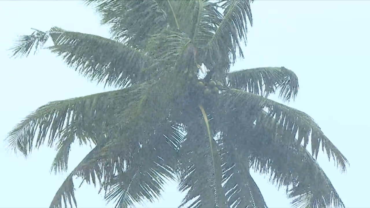kerala rain