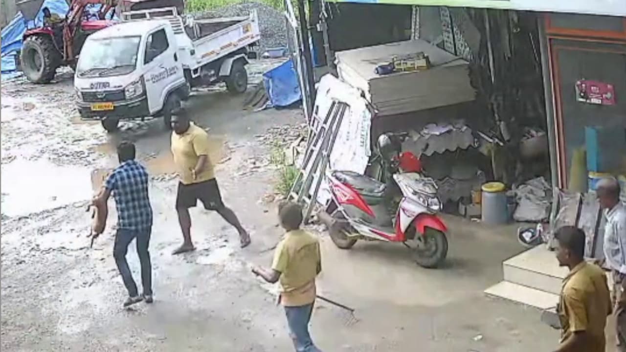 stray dog attack stray dog attack