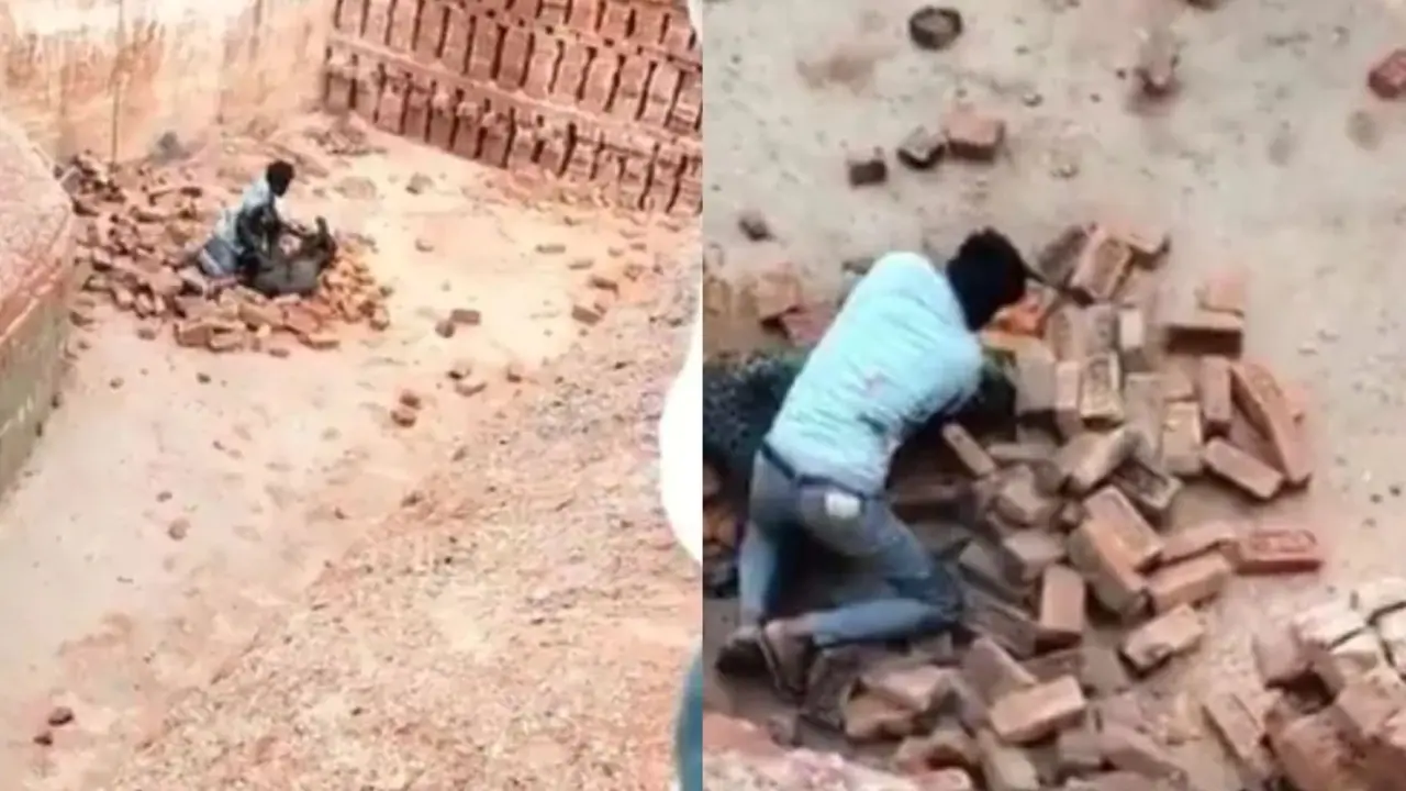 A man fight with leopard viral news