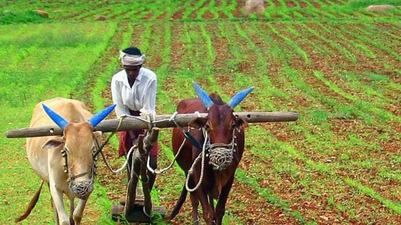 Karnataka farmers