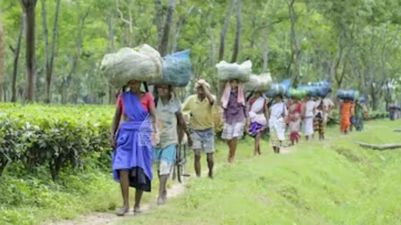 Kodagu news Kodagu news