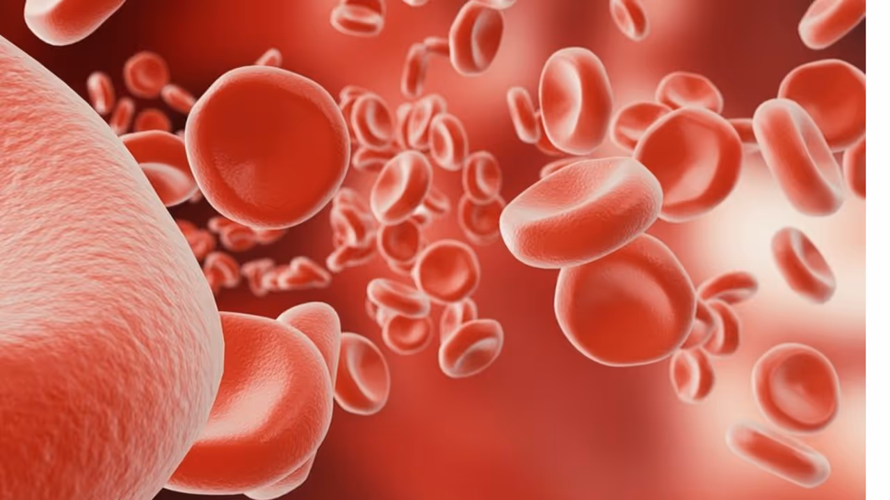 hemoglobin rich foods