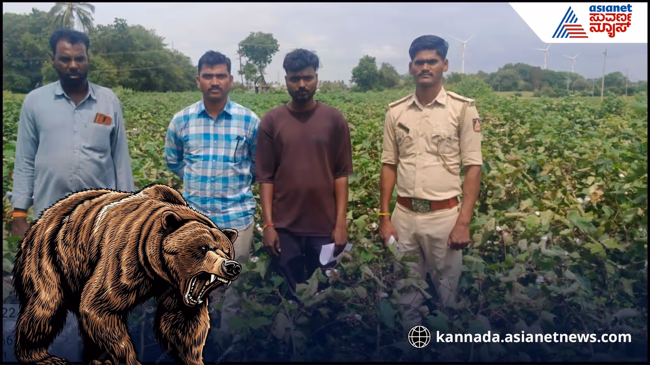 Vijayanagar beart attack