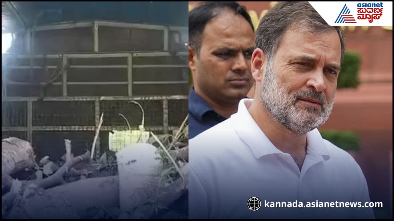 Bengaluru freedom park rahul gandhi protest