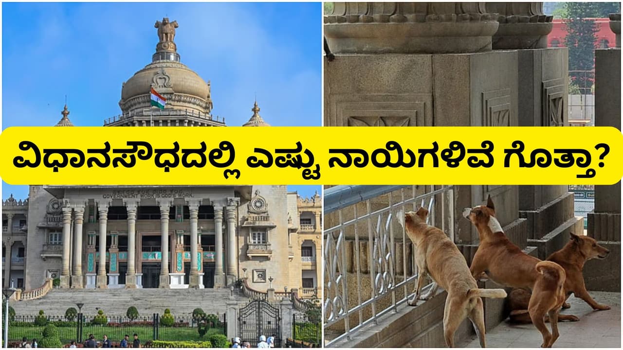 vidhana soudha dogs 