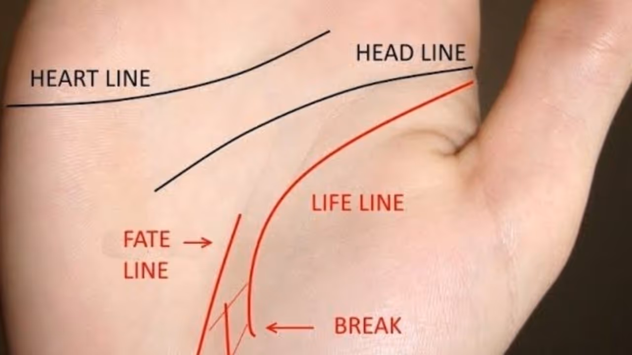 heart line palmistry