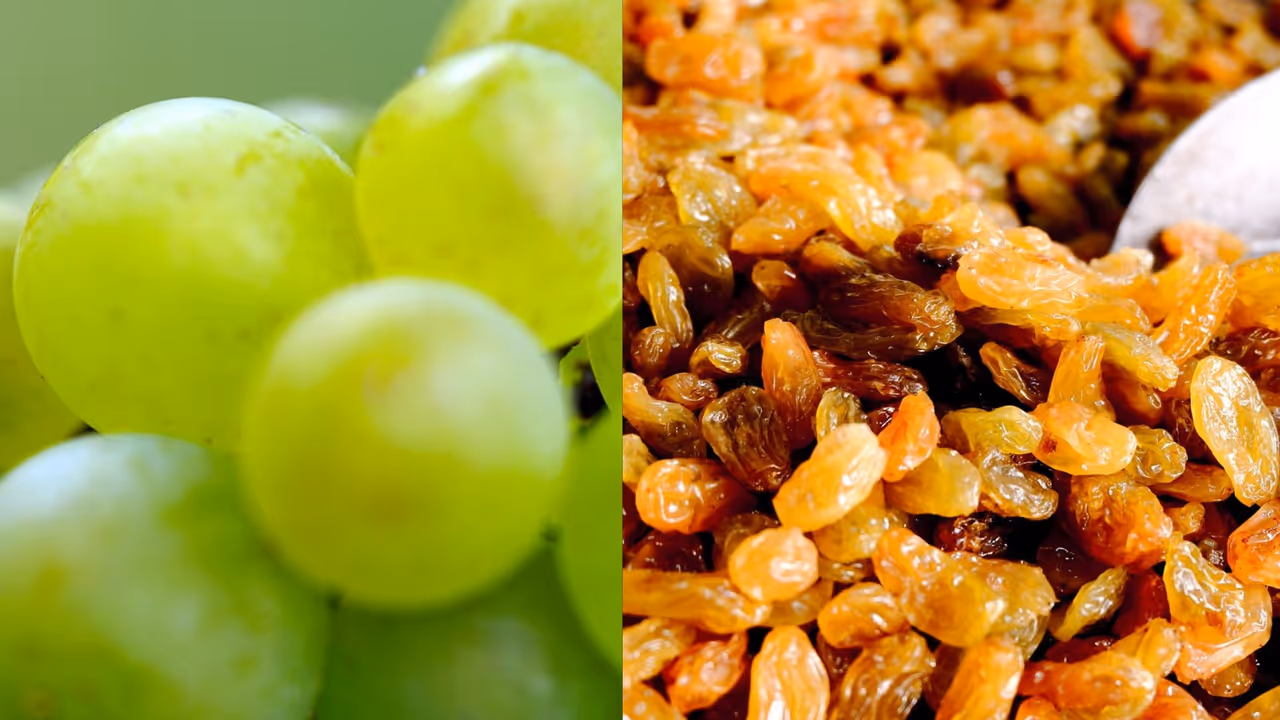 How to Dry Grapes for Raisins at Home