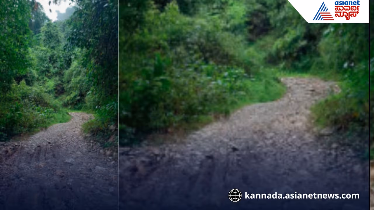 Beltangady Beltangady