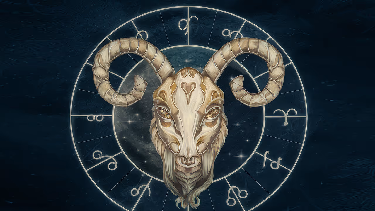 Zodiac signs Zodiac signs