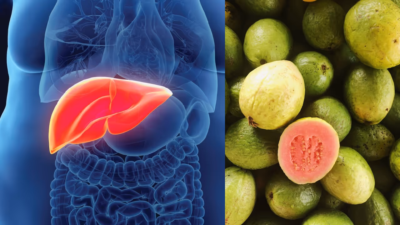 Guava cancer research
