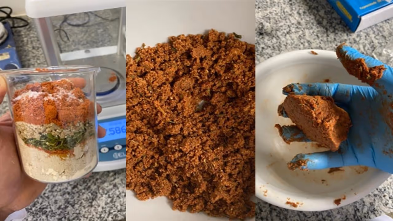 Vegan Meat Vegan Meat