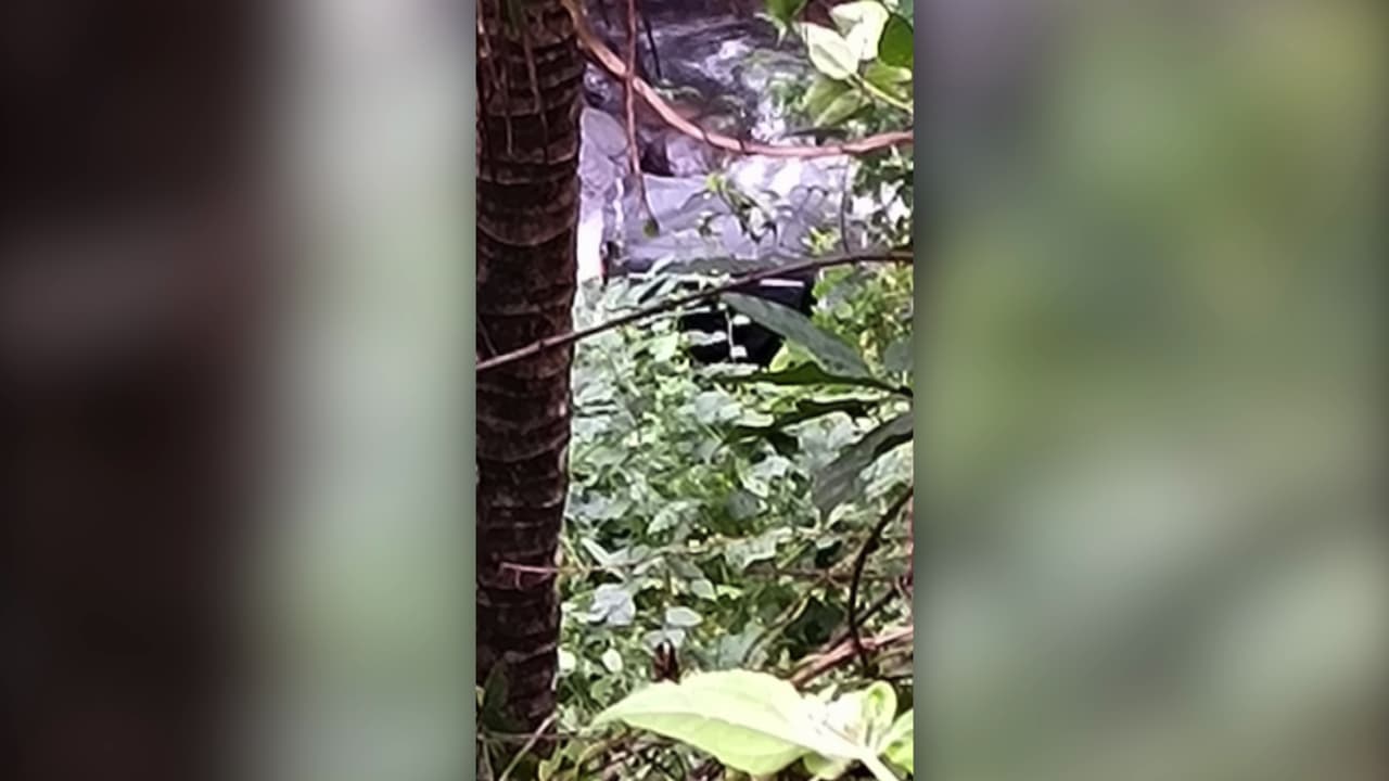 AUTO ACCIDENT AUTO ACCIDENT