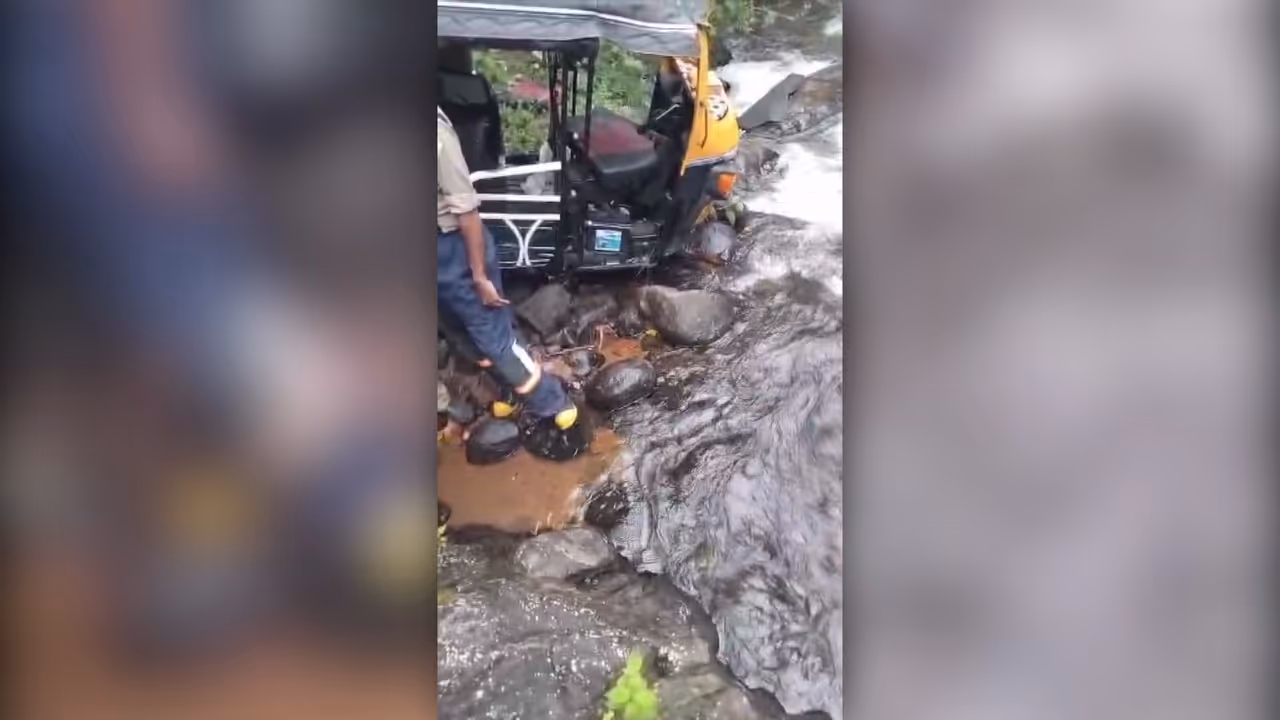 auto accident auto accident