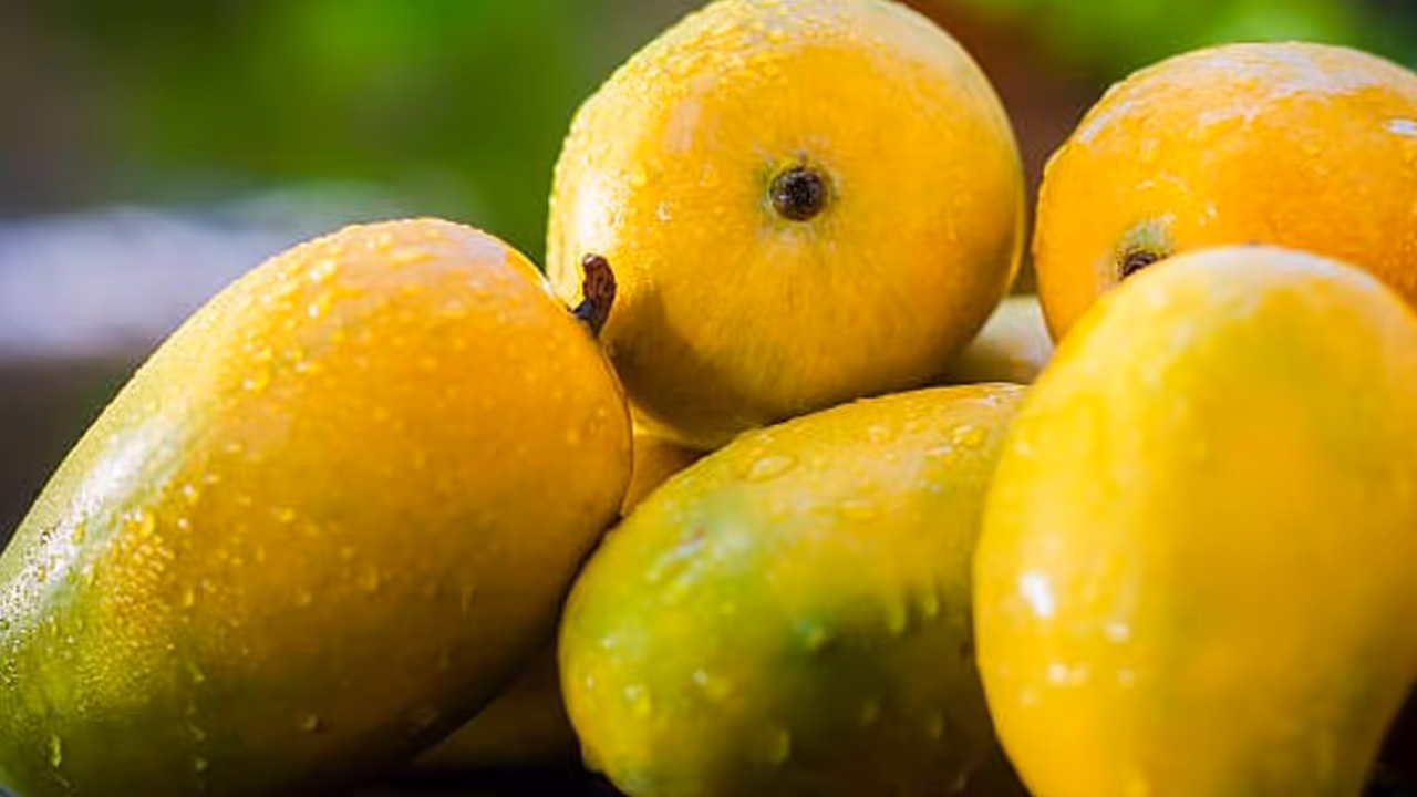 Mango flower drop in Karnataka raises price rise fears Mango flower drop in Karnataka raises price rise fears