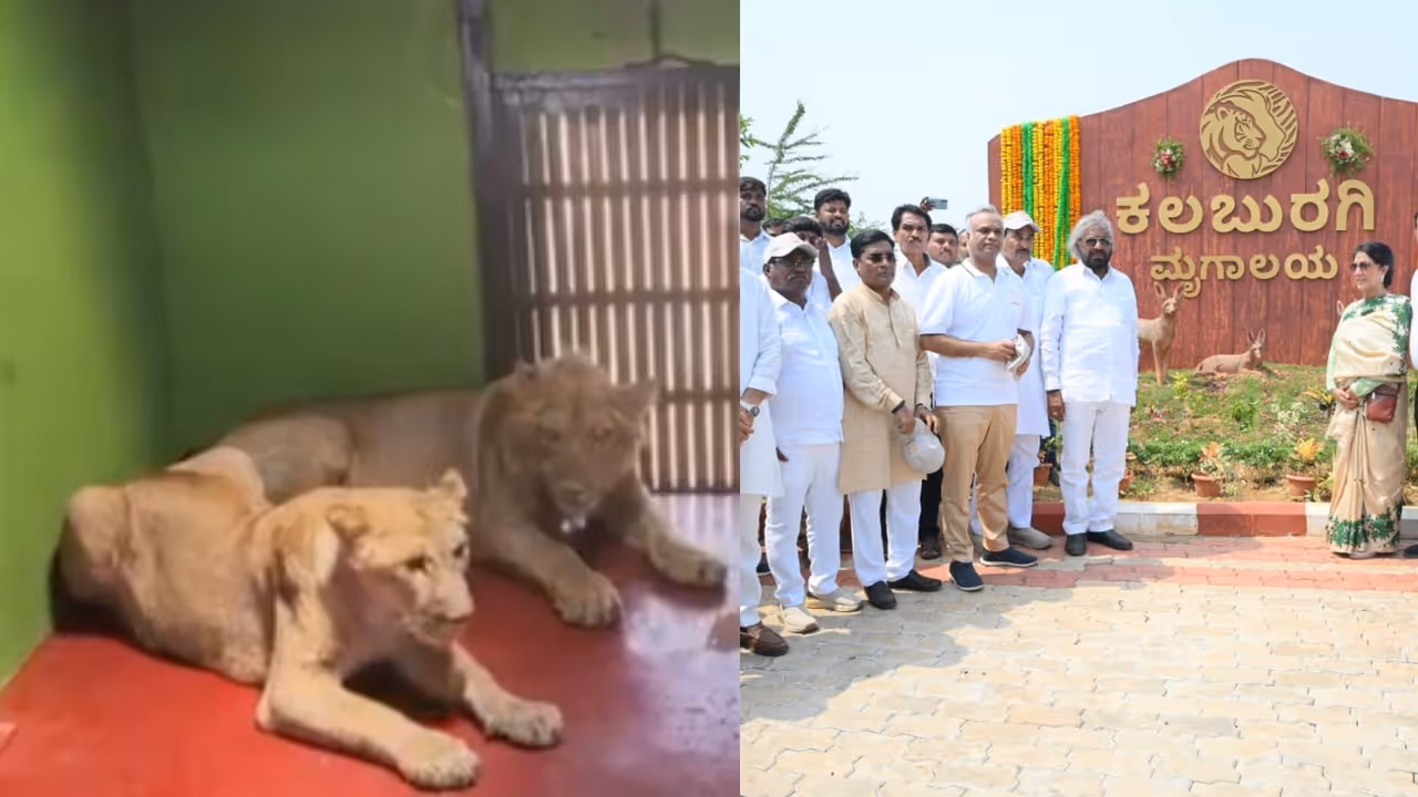 Karnataka Karnataka