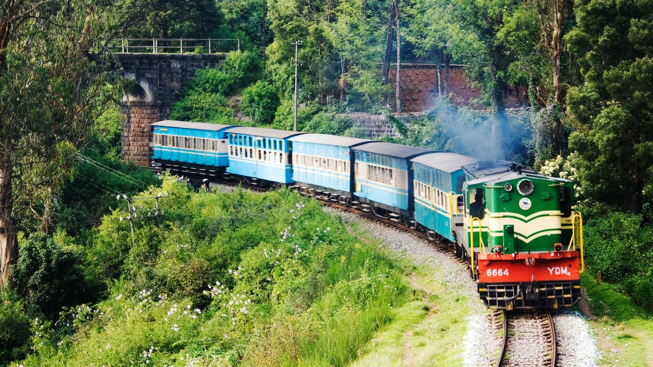 Train Train
