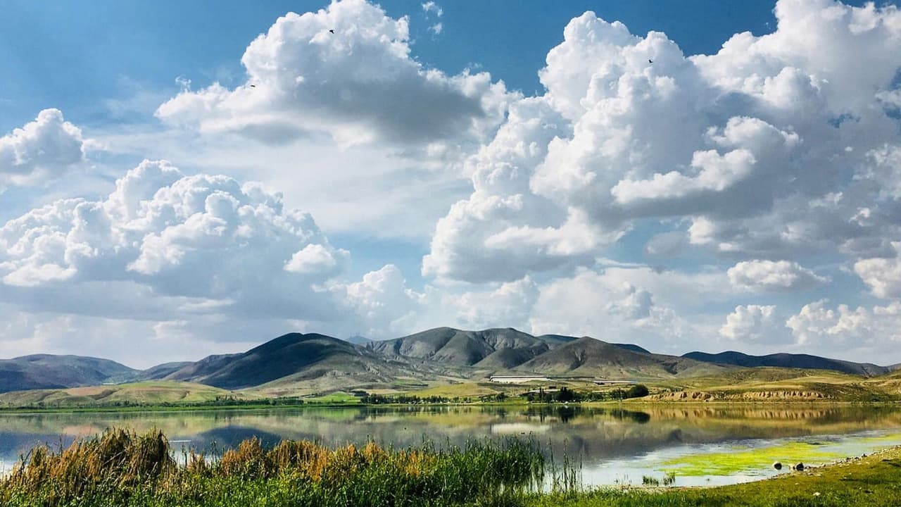 How Ancient Humans Predicted Weather Without Technology in india How Ancient Humans Predicted Weather Without Technology in india