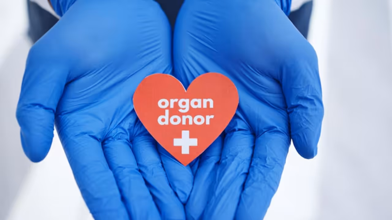 Organ Donation Organ Donation