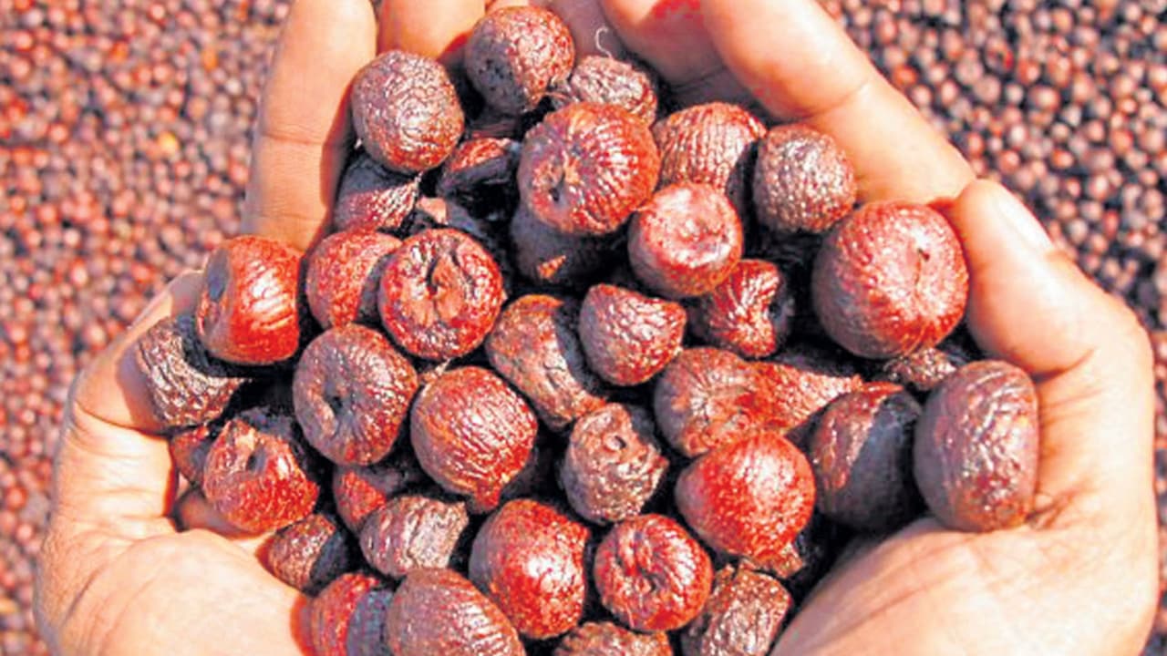 Karnataka arecanut price crash Karnataka arecanut price crash