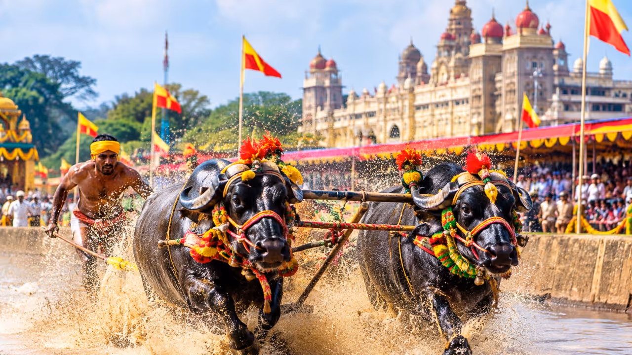 mysuru dasara mysuru dasara