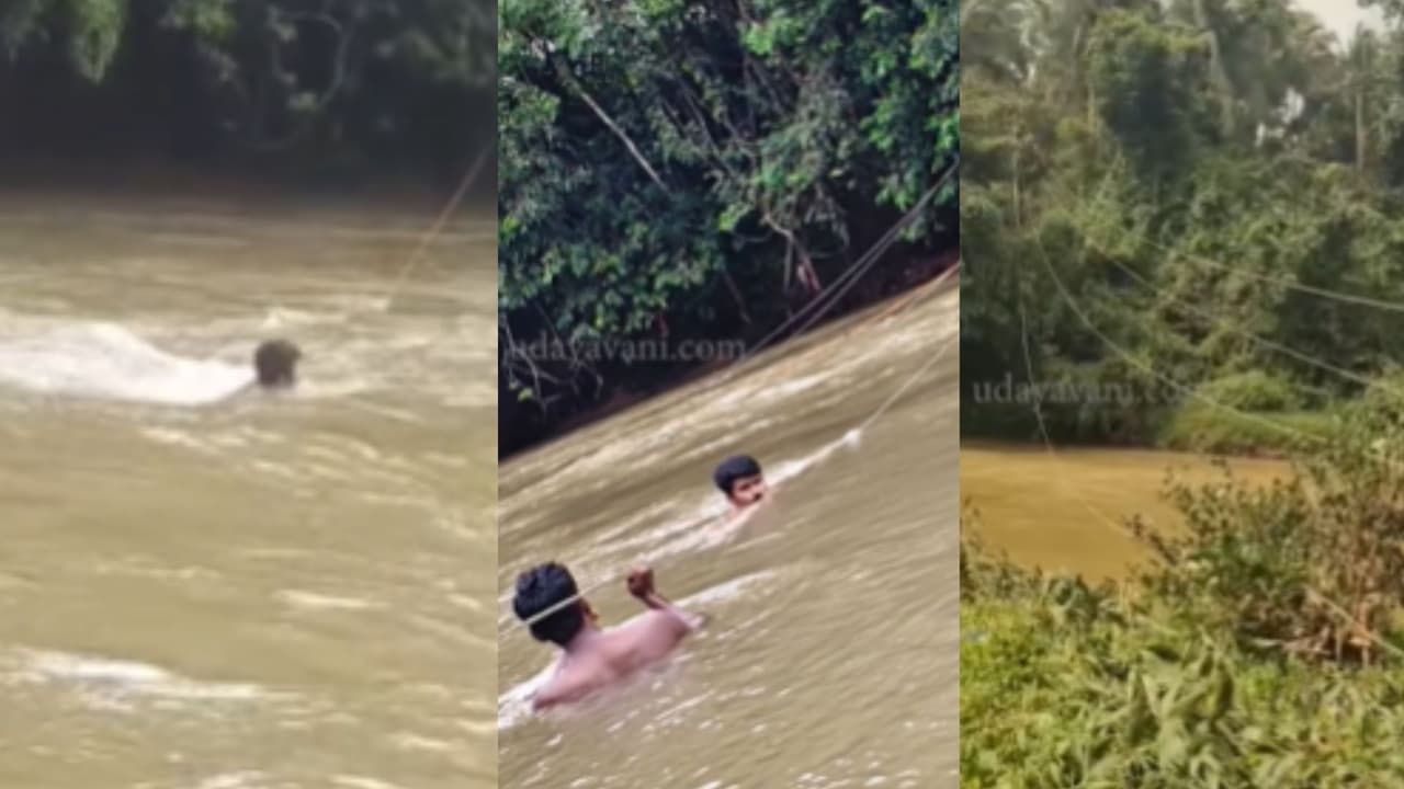 Puttur MESCOM staff connecting electric wires in a swollen river goes viral rav Puttur MESCOM staff connecting electric wires in a swollen river goes viral rav
