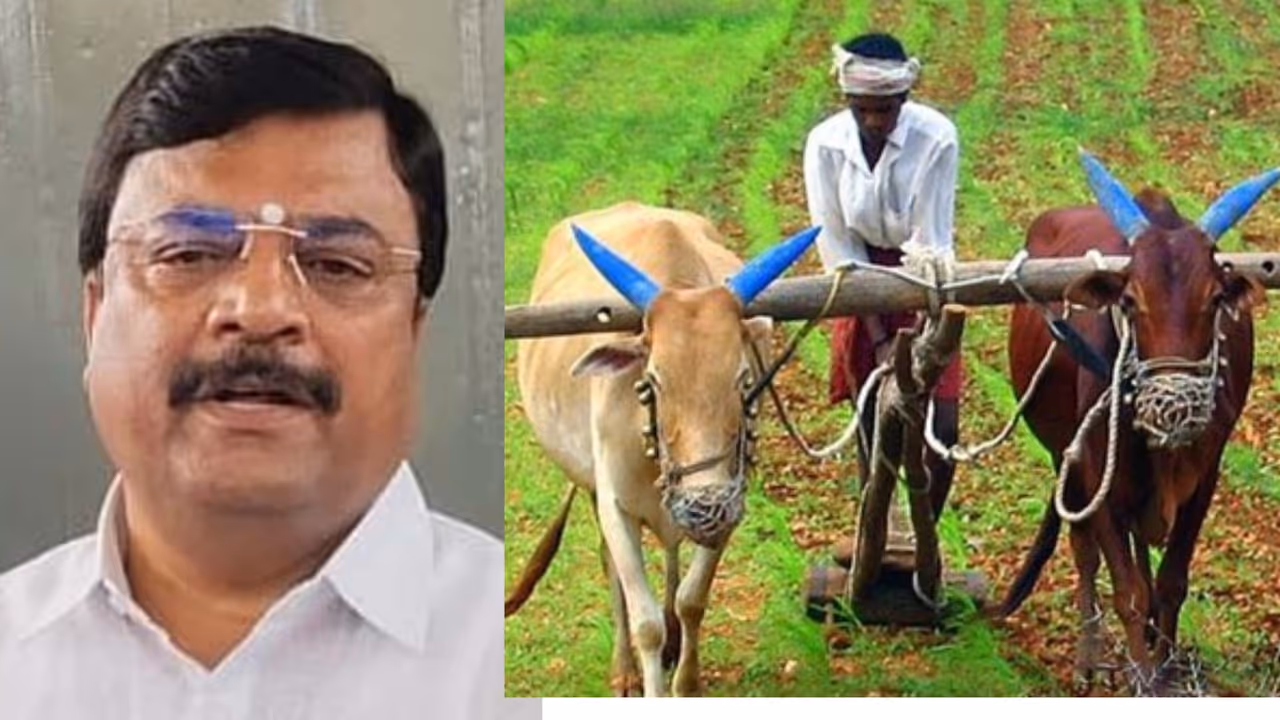 Farmers Farmers