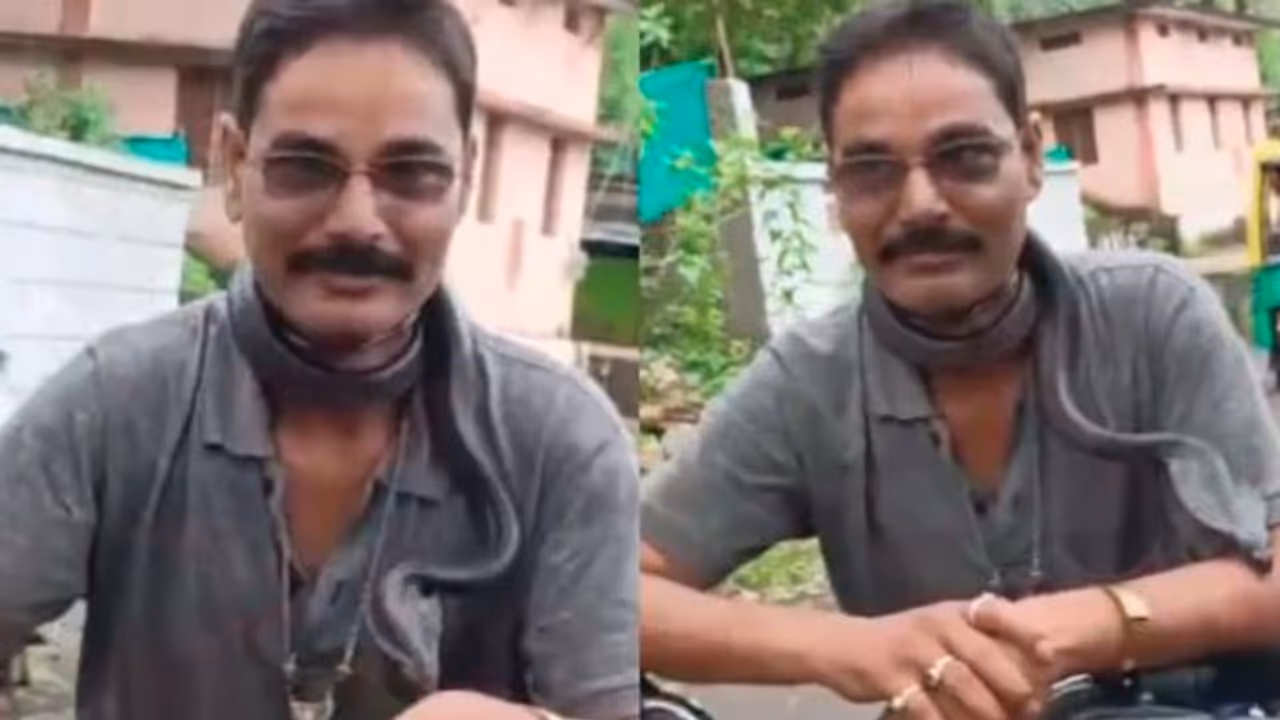 Snake Catcher killed by snake bite