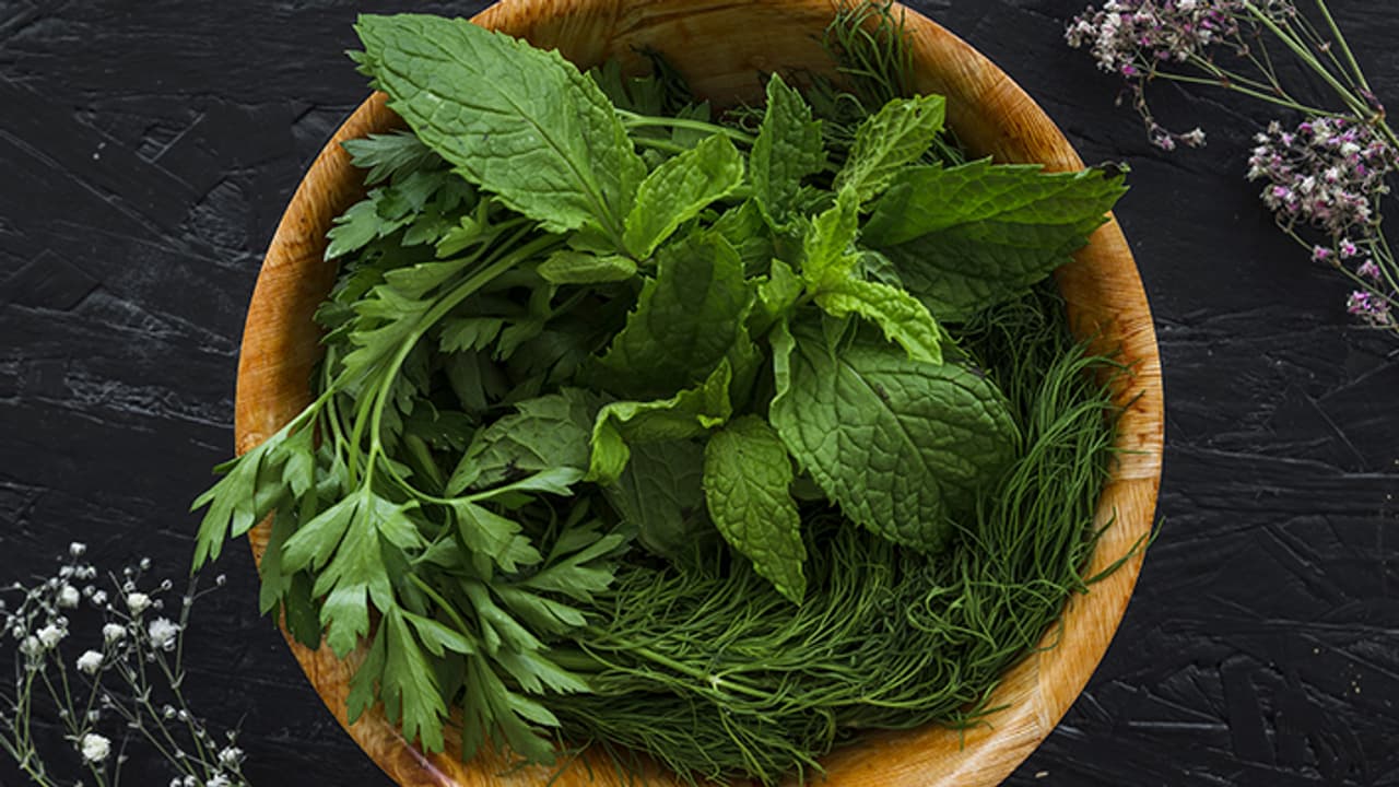 how to store coriander mint and curry leaves how to store coriander mint and curry leaves