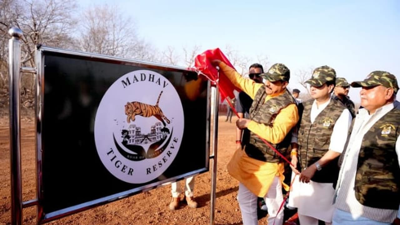 Cm Mohan yadav Cm Mohan yadav