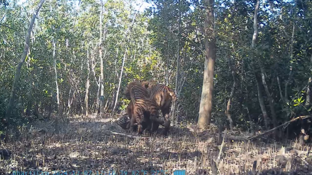 Asianet News Asianet News