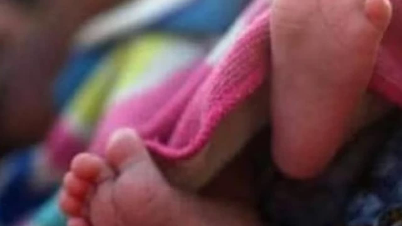 child kidnapped child kidnapped