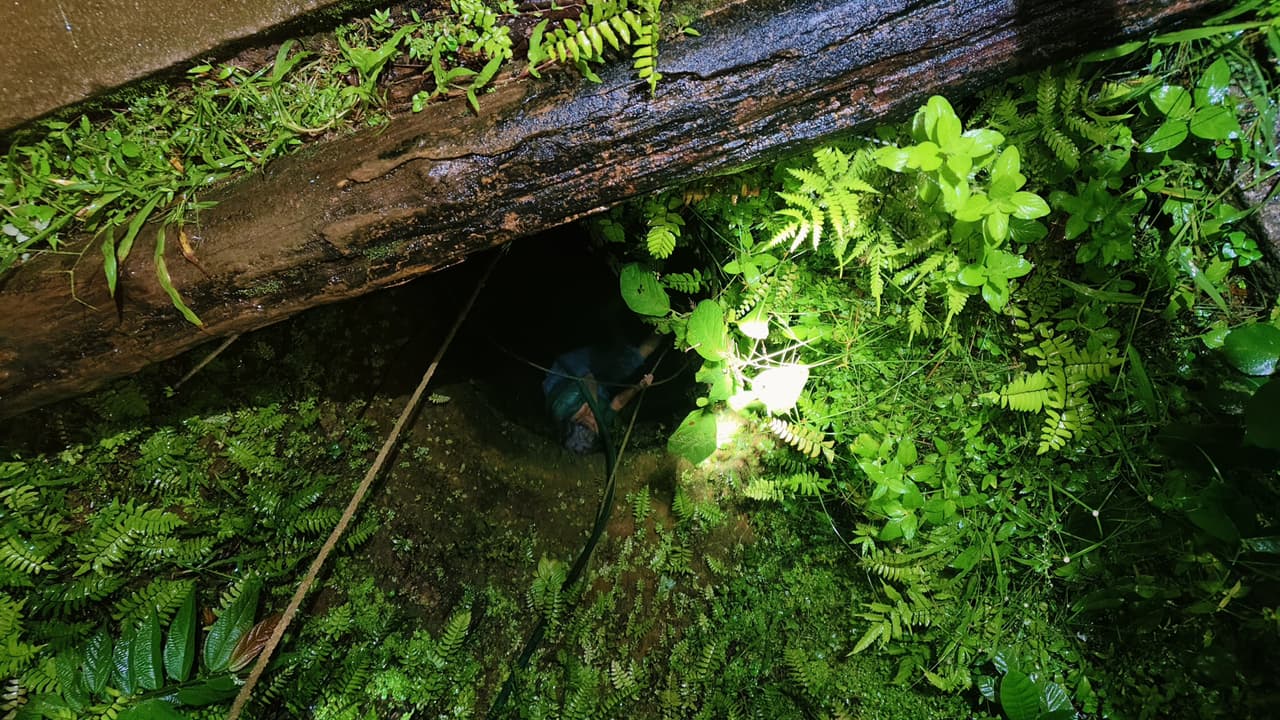 87 year old women rescued from 30 feet weel 87 year old women rescued from 30 feet weel