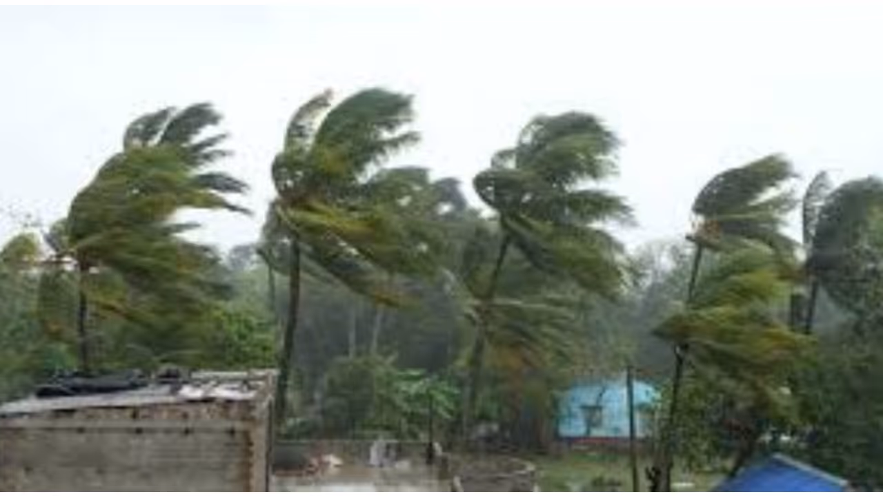 wind alert wind alert