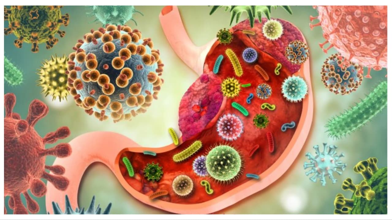 Gut Health Gut Health