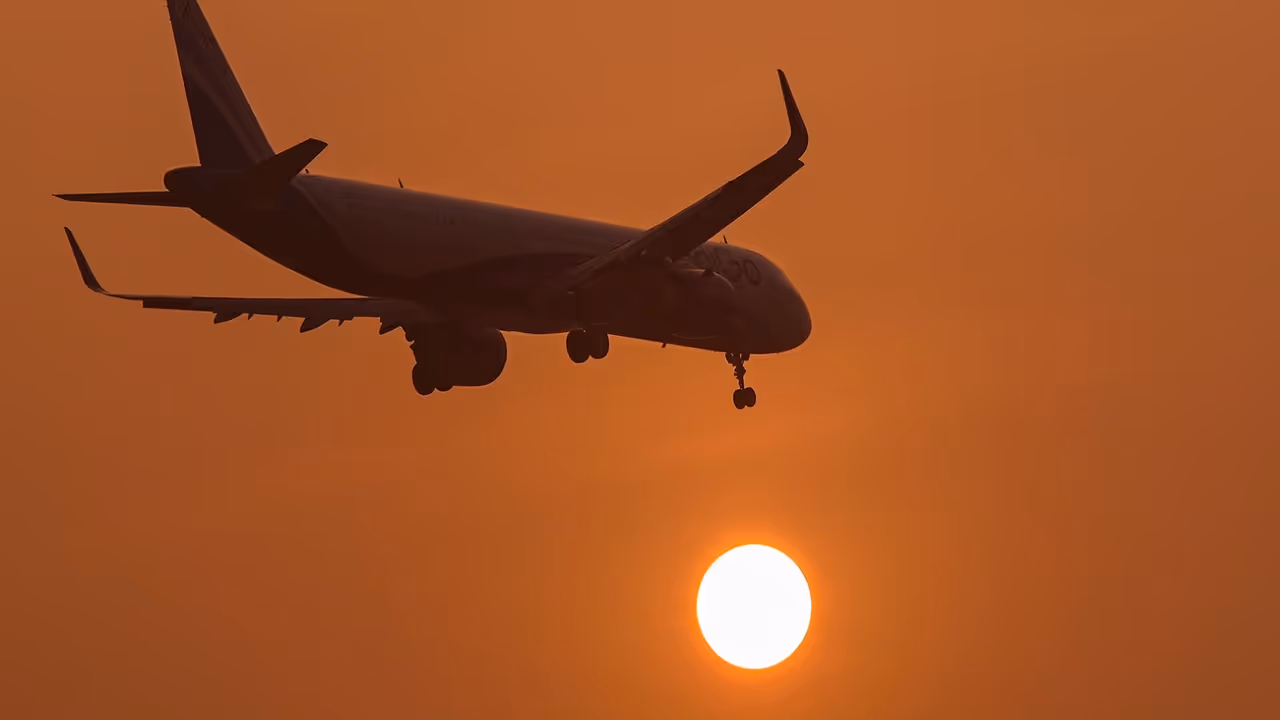 Flight Flight