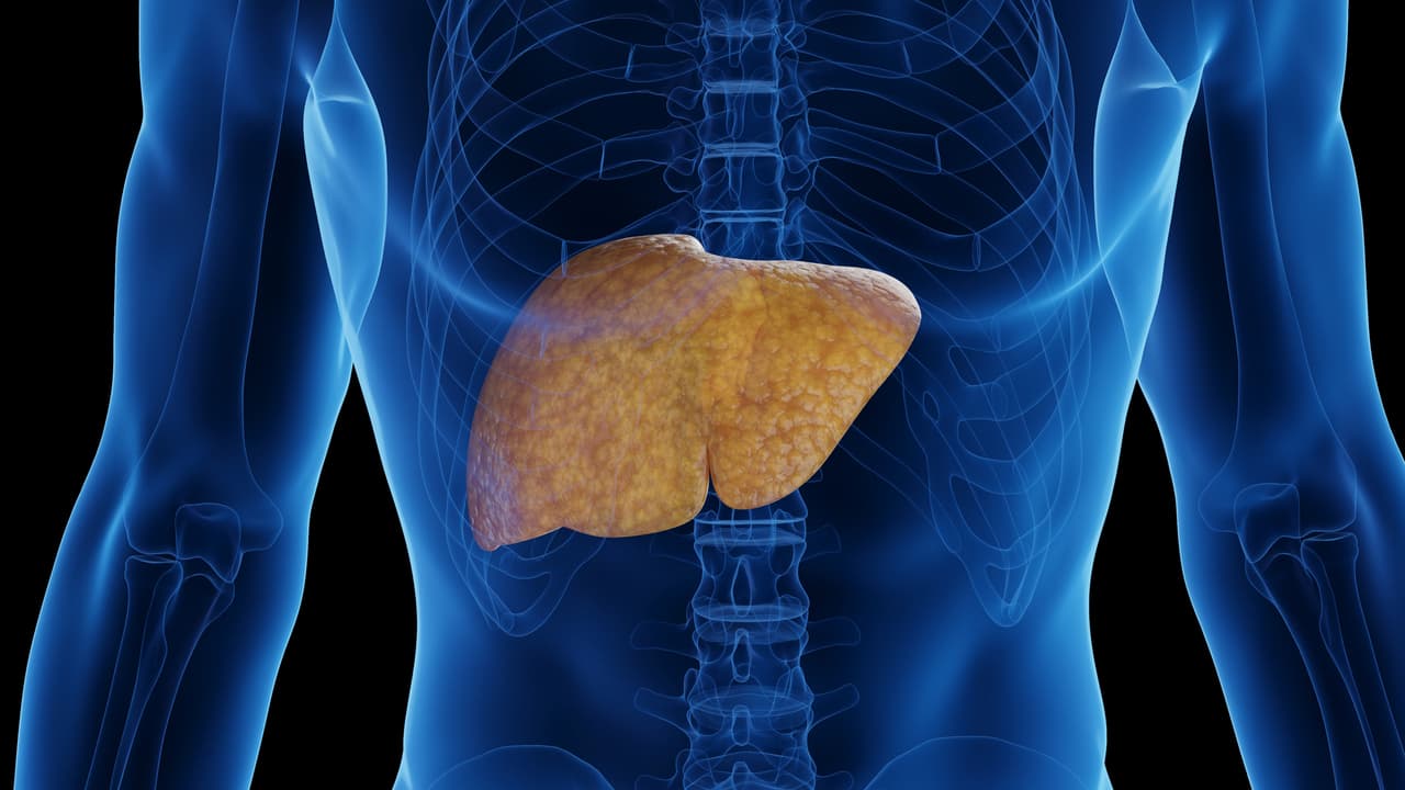 Liver health Liver health