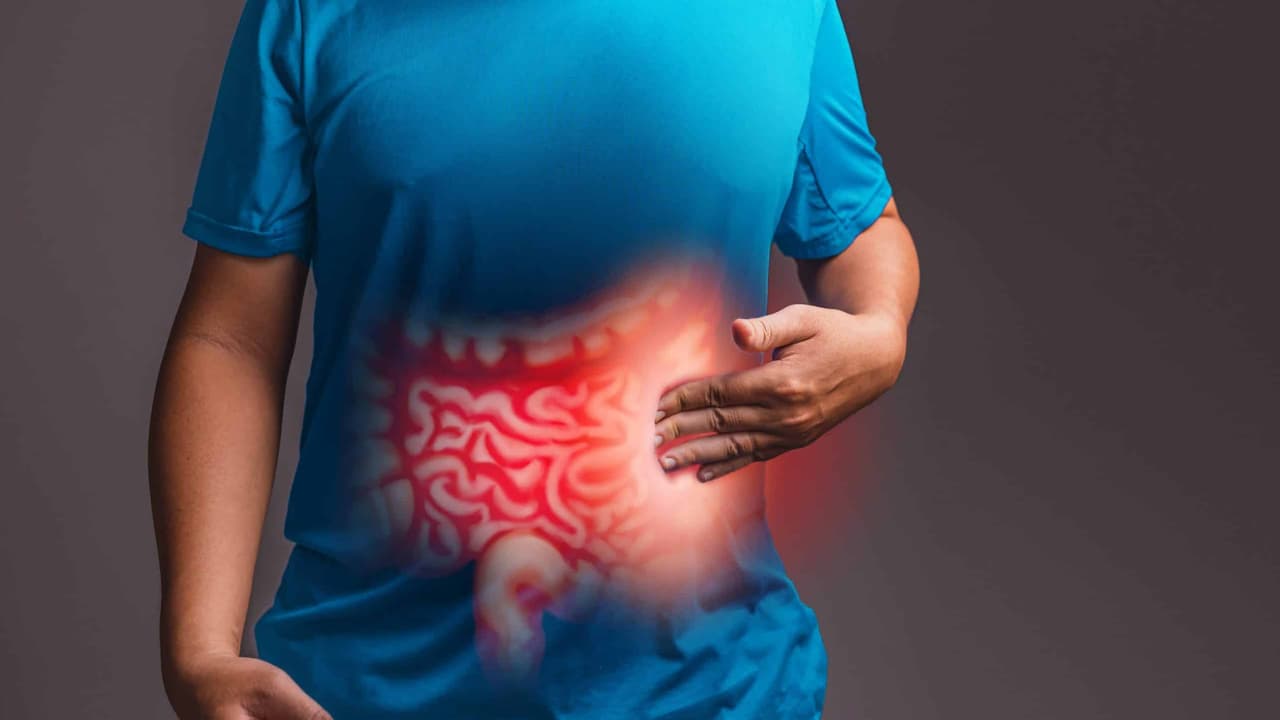gut health gut health