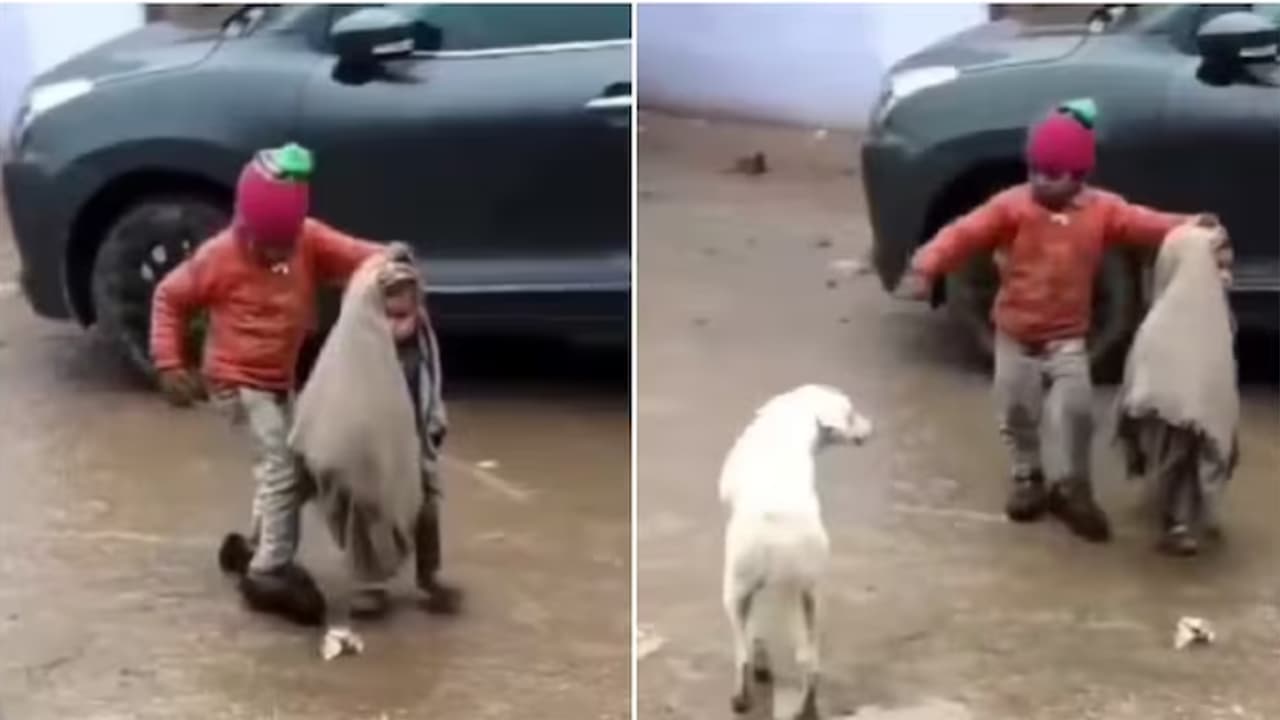 Little Boy Shields Sister From Rain, Chases Away Dog Little Boy Shields Sister From Rain, Chases Away Dog