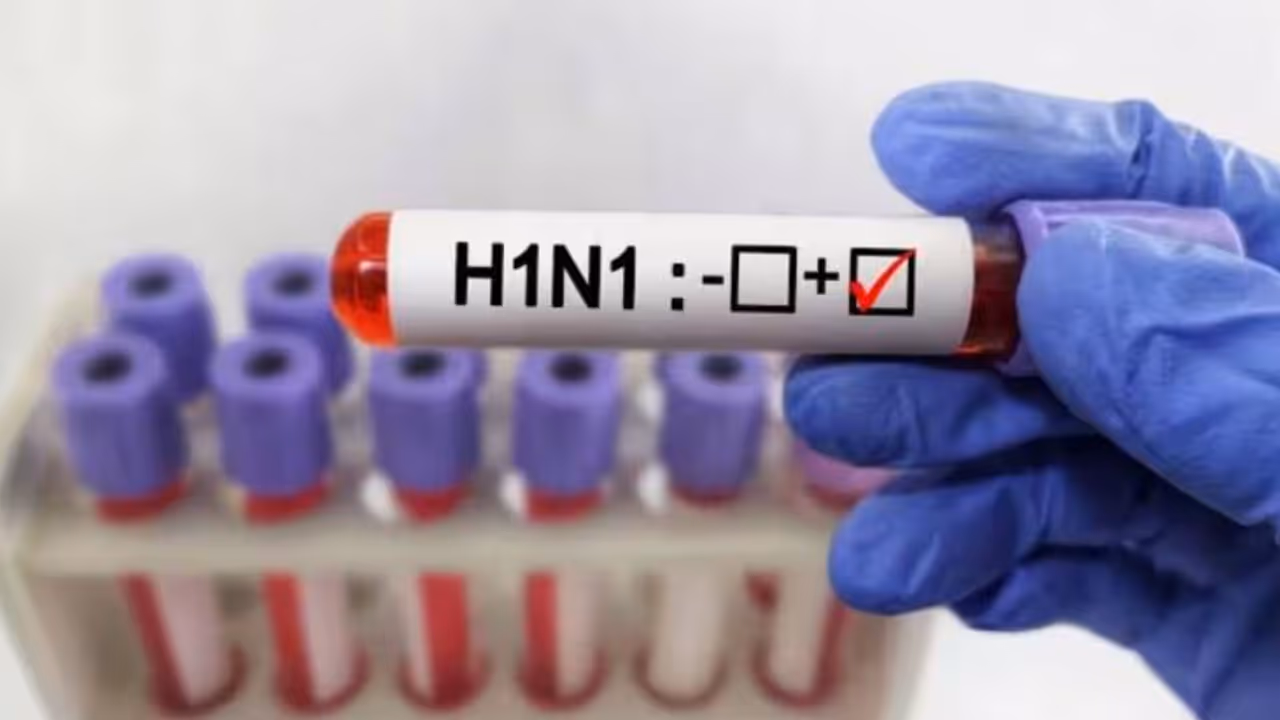 h1n1 virus h1n1 virus