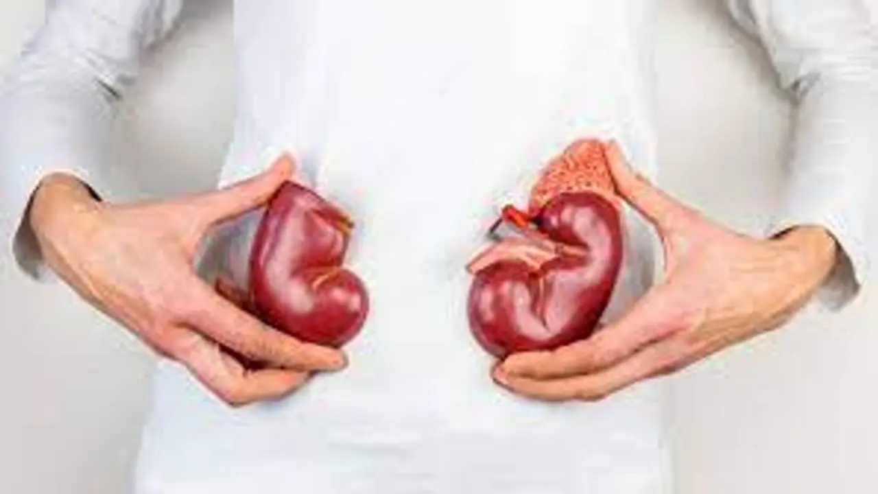 Kidney health Kidney health