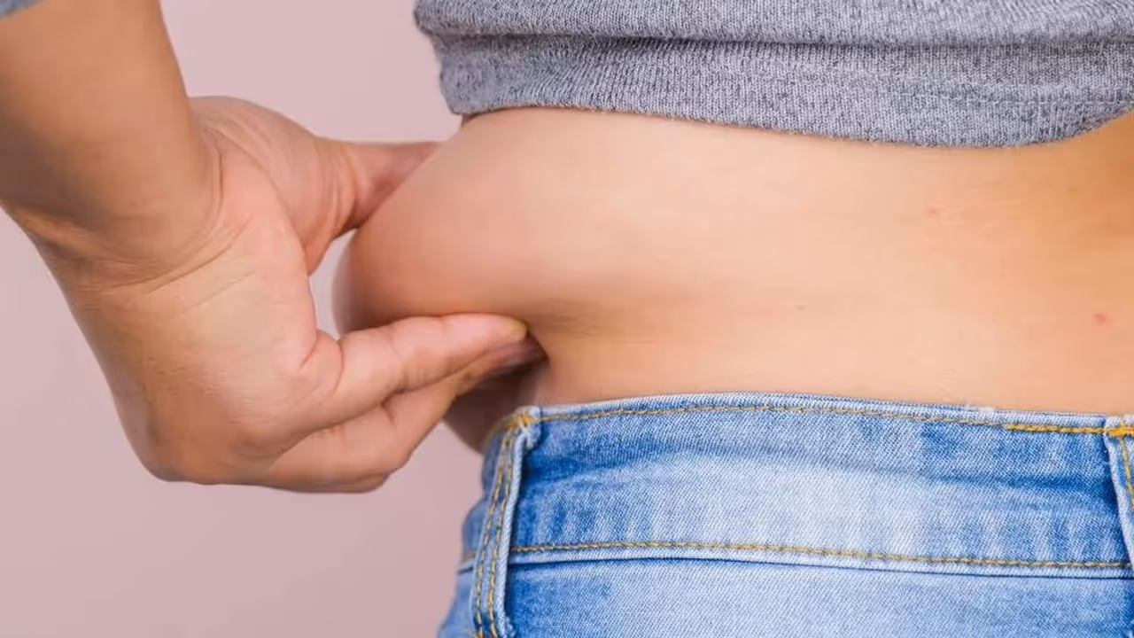 belly fat belly fat