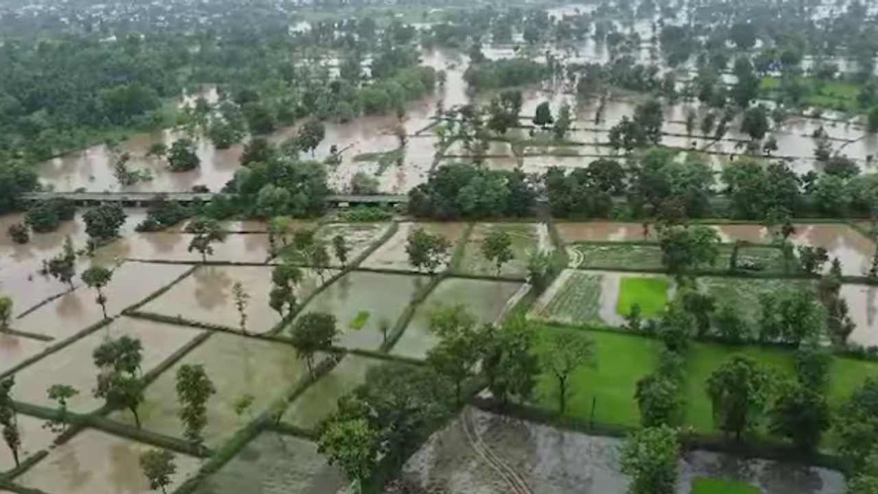 Vidarbha Heavy Rain Update Vidarbha Heavy Rain Update