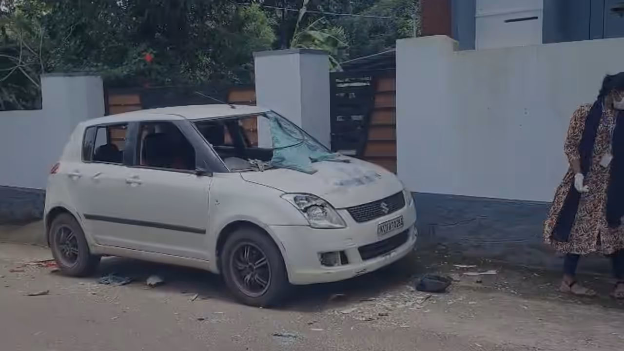 Gunda attack Gunda attack