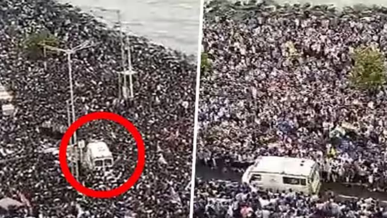 T 20 World Cup Champions are Back