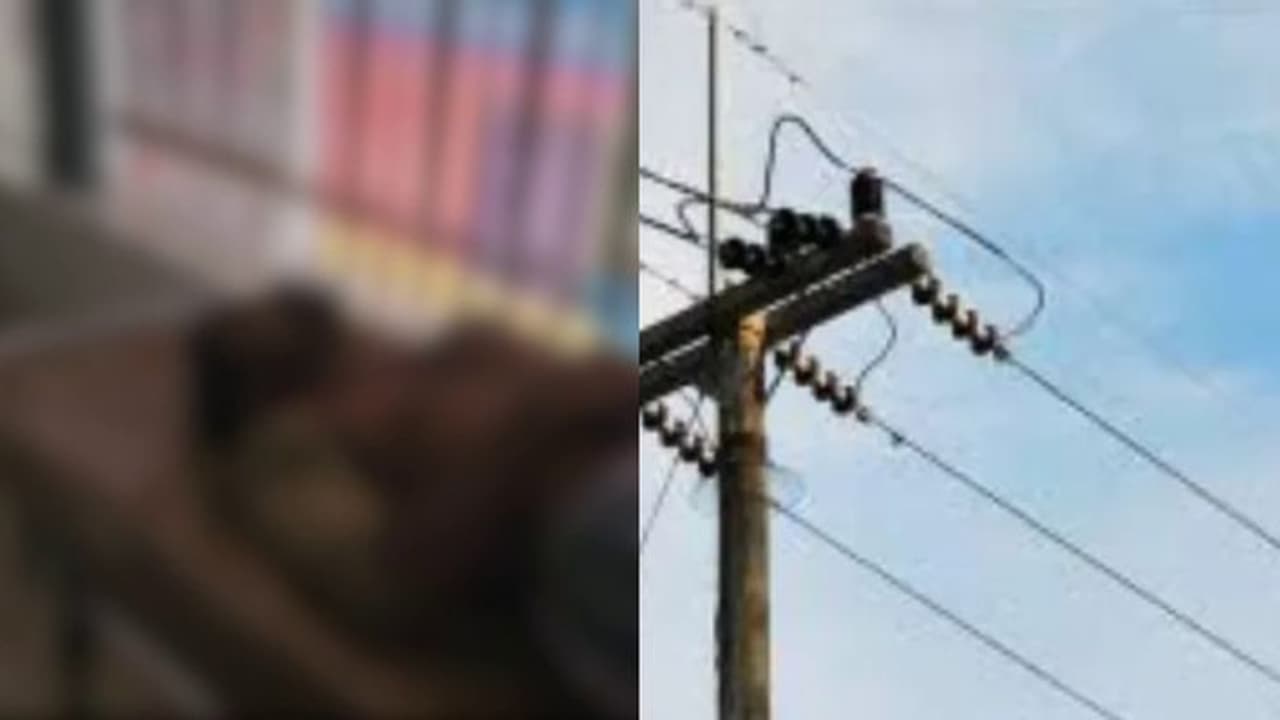 Electrocution Death Pulppally Electrocution Death Pulppally